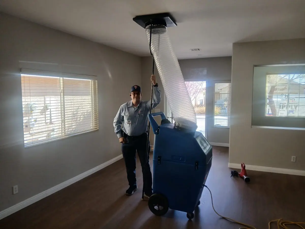 Professional Dryer Vent Cleaning work inside a Auburn home